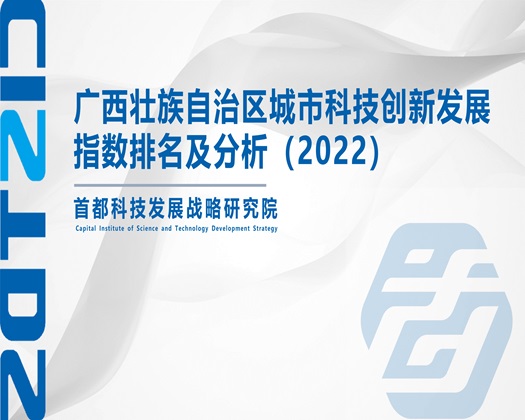 国产黄色操大逼【成果发布】广西壮族自治区城市科技创新发展指数排名及分析（2022）